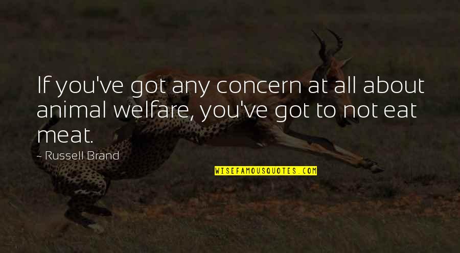 Badeea Friendship Quotes By Russell Brand: If you've got any concern at all about