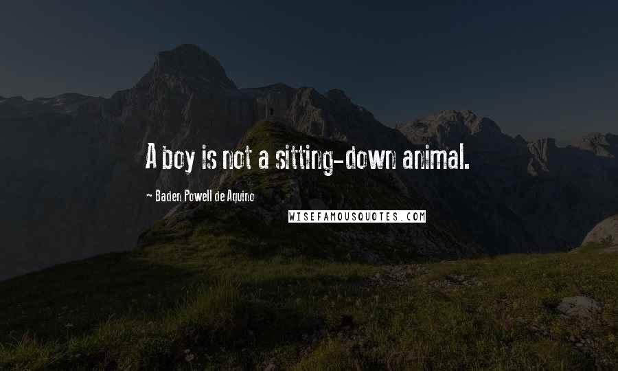 Baden Powell De Aquino quotes: A boy is not a sitting-down animal.