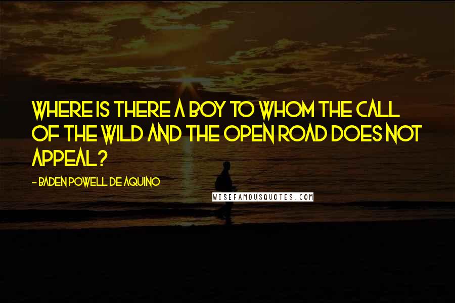 Baden Powell De Aquino quotes: Where is there a boy to whom the call of the wild and the open road does not appeal?