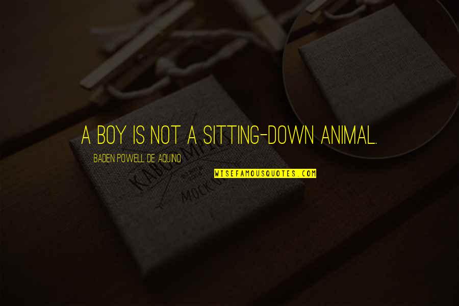 Baden Powell Quotes By Baden Powell De Aquino: A boy is not a sitting-down animal.