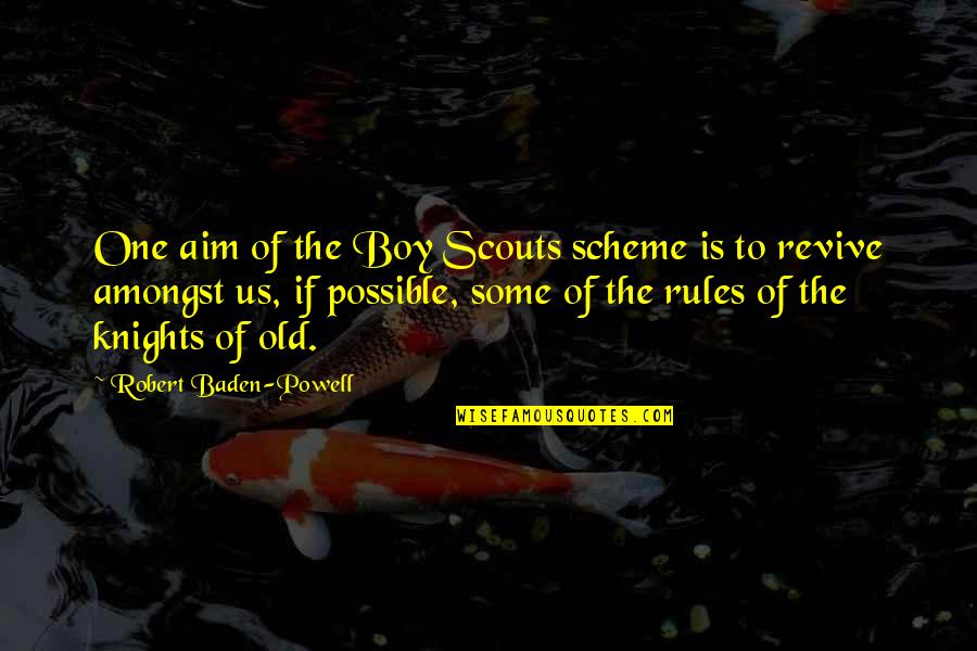 Baden Powell Scouts Quotes By Robert Baden-Powell: One aim of the Boy Scouts scheme is