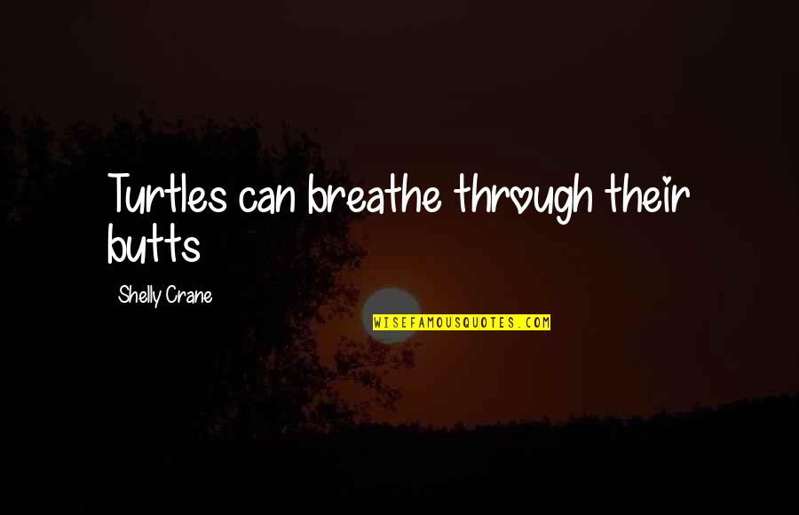 Badinotti Quotes By Shelly Crane: Turtles can breathe through their butts Badinotti Quotes By Shelly Crane: Turtles can breathe through their butts