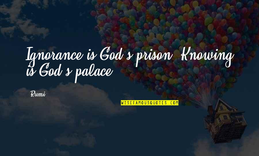 Badjao Quotes By Rumi: Ignorance is God's prison. Knowing is God's palace