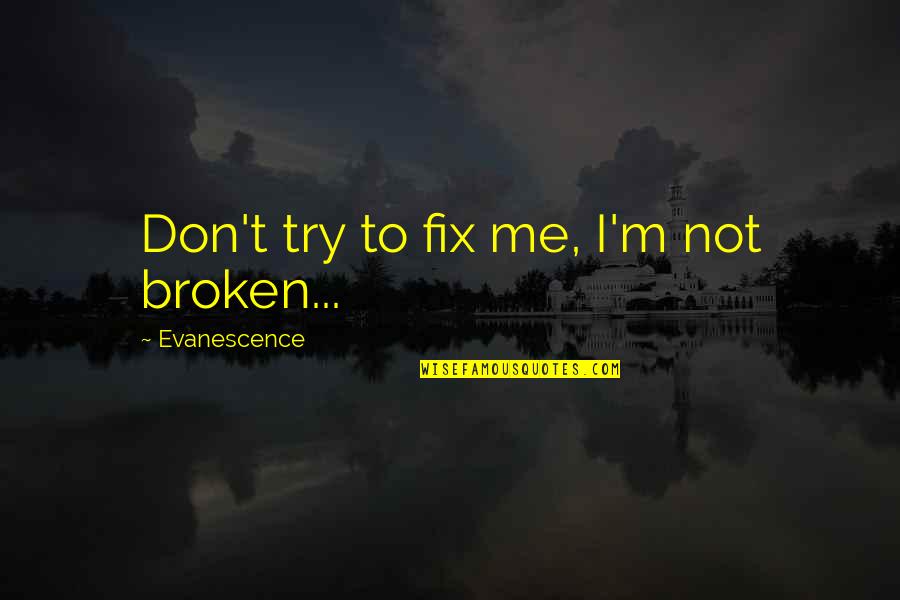 Badly Hurt In Love Quotes By Evanescence: Don't try to fix me, I'm not broken...