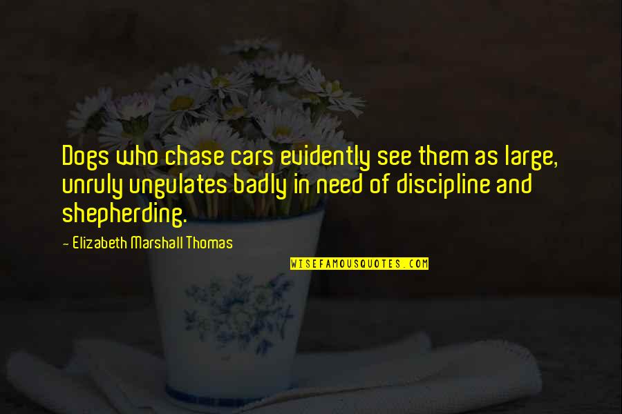 Badly Need You Quotes By Elizabeth Marshall Thomas: Dogs who chase cars evidently see them as