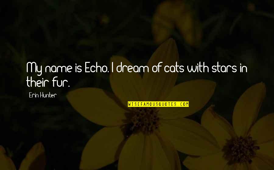 Badly Sick Quotes By Erin Hunter: My name is Echo. I dream of cats