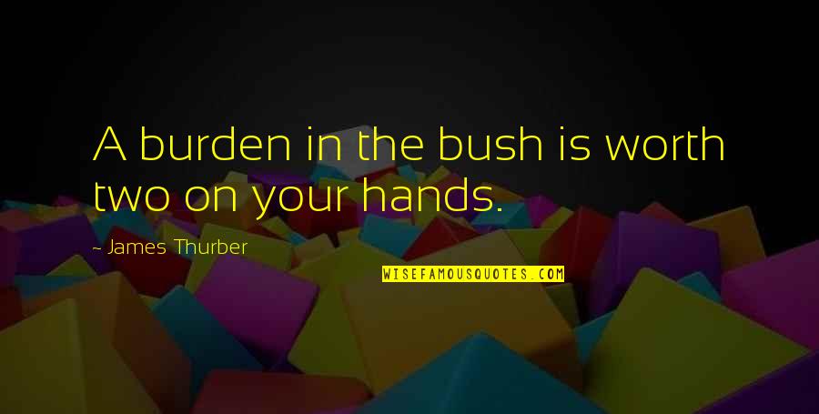 Baechler Machine Quotes By James Thurber: A burden in the bush is worth two