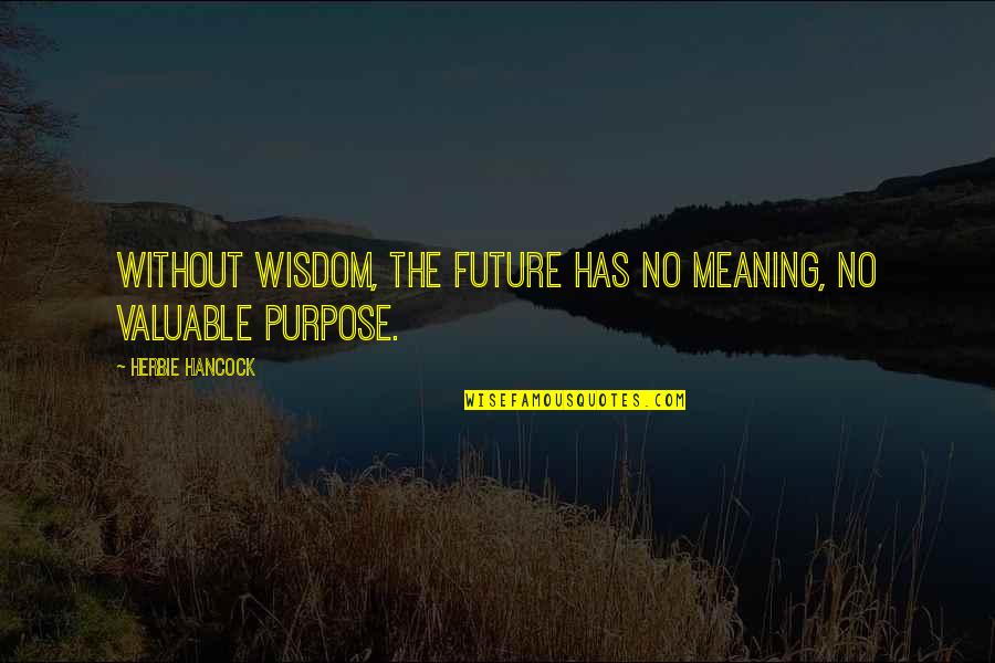 Baeckea Quotes By Herbie Hancock: Without wisdom, the future has no meaning, no Baeckea Quotes By Herbie Hancock: Without wisdom, the future has no meaning, no