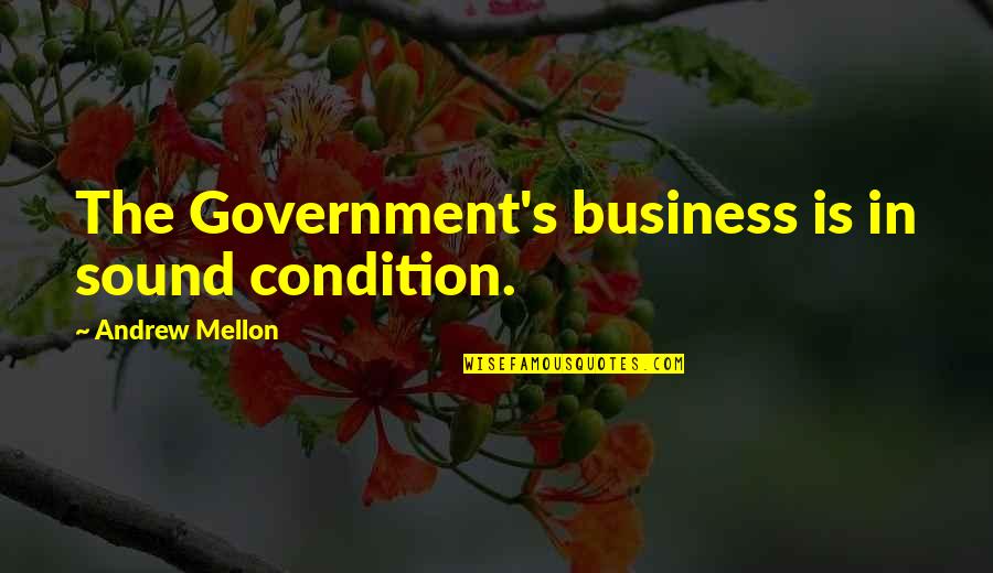 Baekeland Murder Quotes By Andrew Mellon: The Government's business is in sound condition.