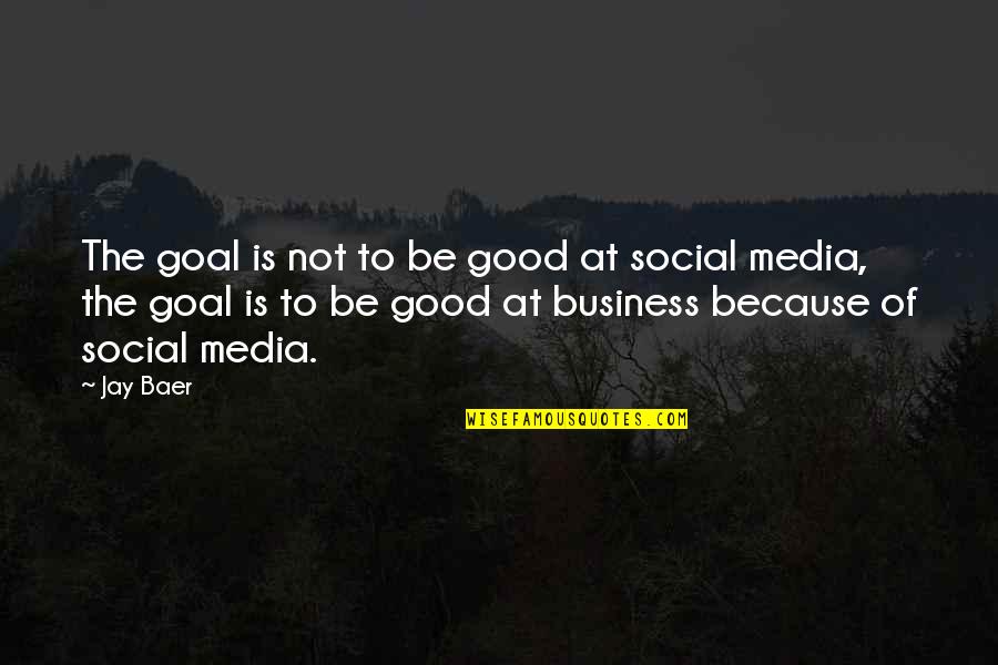 Baer Quotes By Jay Baer: The goal is not to be good at