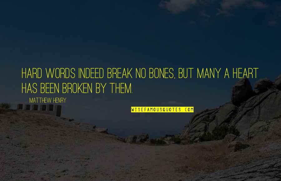 Baeslers Terre Quotes By Matthew Henry: Hard words indeed break no bones, but many