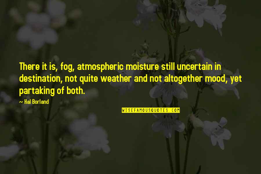 Bag Holder Quotes By Hal Borland: There it is, fog, atmospheric moisture still uncertain