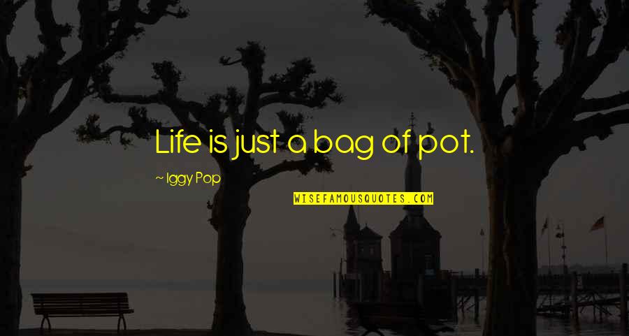 Bag Quotes By Iggy Pop: Life is just a bag of pot.