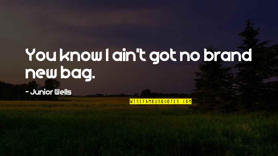 Bag Quotes By Junior Wells: You know I ain't got no brand new