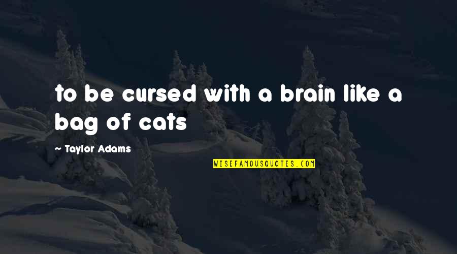 Bag Quotes By Taylor Adams: to be cursed with a brain like a