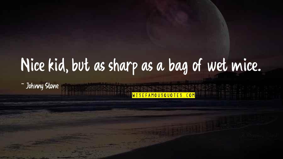 Bag'a Quotes By Johnny Stone: Nice kid, but as sharp as a bag Bag'a Quotes By Johnny Stone: Nice kid, but as sharp as a bag