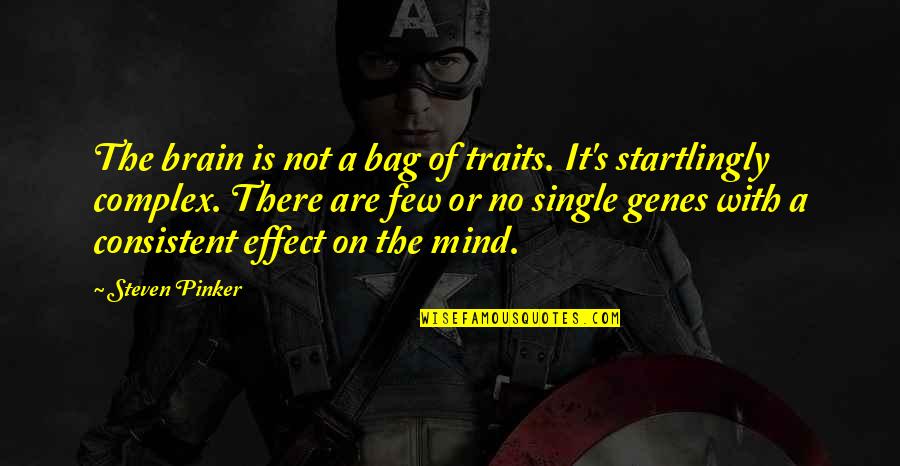 Bag'a Quotes By Steven Pinker: The brain is not a bag of traits.