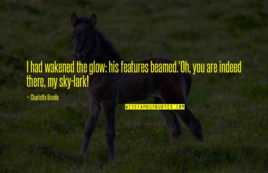 Bagalkot Quotes By Charlotte Bronte: I had wakened the glow: his features beamed.'Oh,