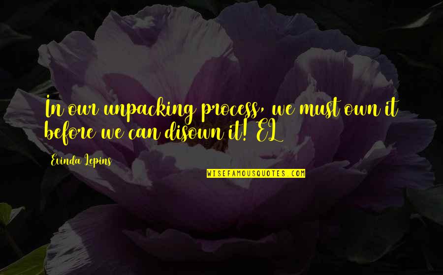 Baggage Quotes By Evinda Lepins: In our unpacking process, we must own it