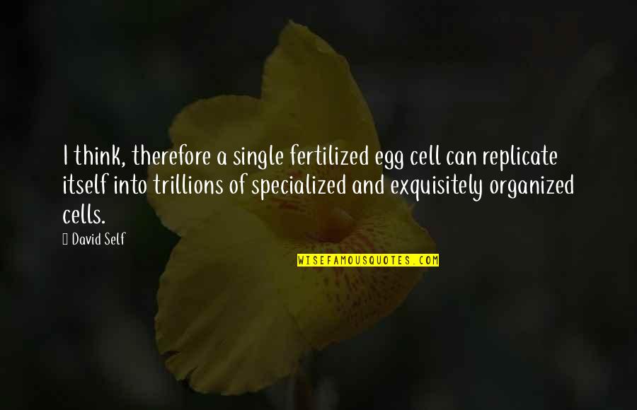 Baghra's Quotes By David Self: I think, therefore a single fertilized egg cell Baghra's Quotes By David Self: I think, therefore a single fertilized egg cell