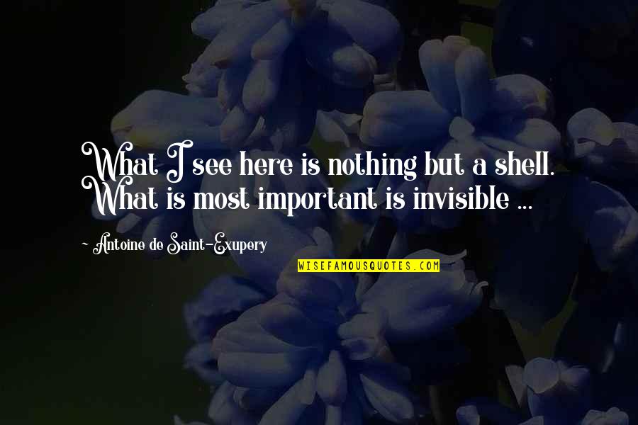 Baglini Purse Quotes By Antoine De Saint-Exupery: What I see here is nothing but a