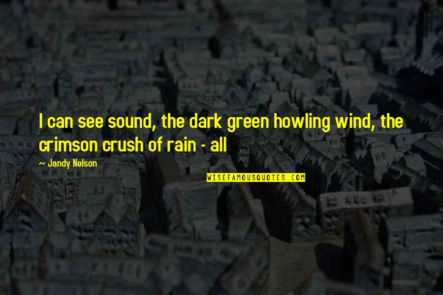 Bahador Foladi Quotes By Jandy Nelson: I can see sound, the dark green howling