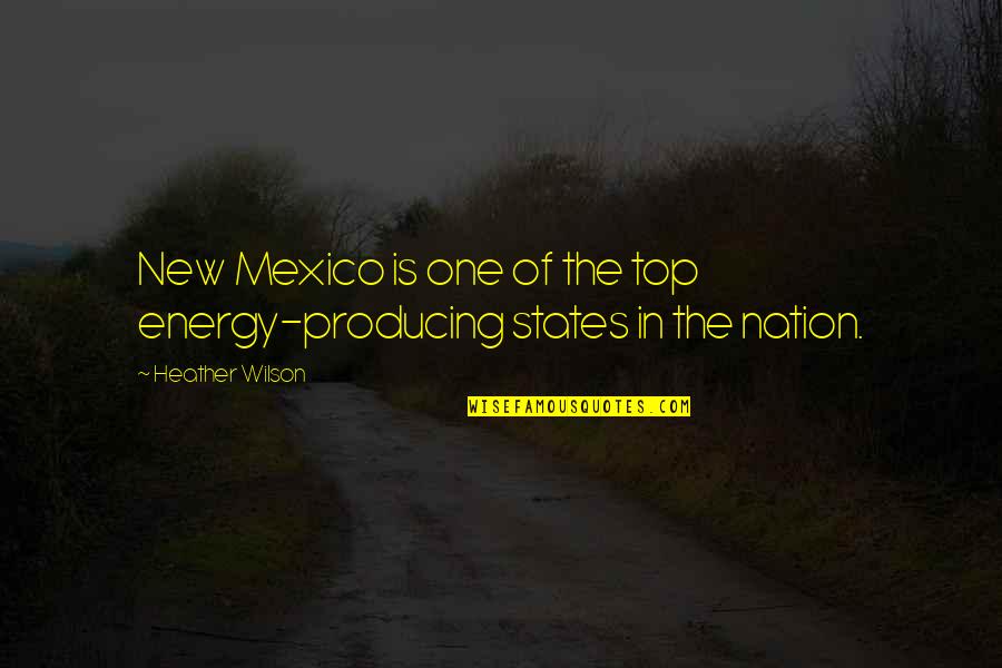 Bahaneh Leyla Quotes By Heather Wilson: New Mexico is one of the top energy-producing