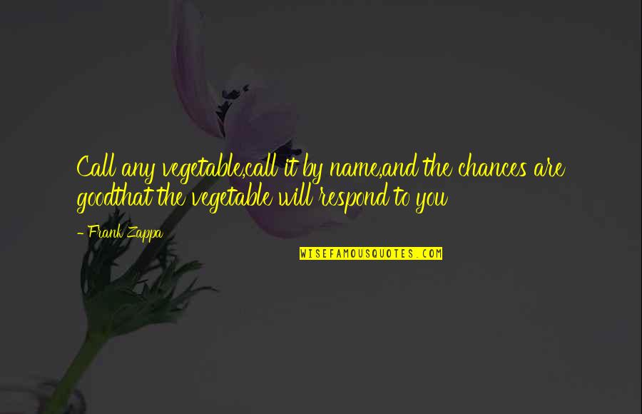 Bahareh Sharafi Quotes By Frank Zappa: Call any vegetable,call it by name,and the chances Bahareh Sharafi Quotes By Frank Zappa: Call any vegetable,call it by name,and the chances