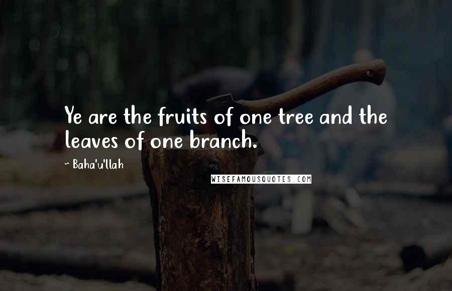 Baha'u'llah quotes: Ye are the fruits of one tree and the leaves of one branch.