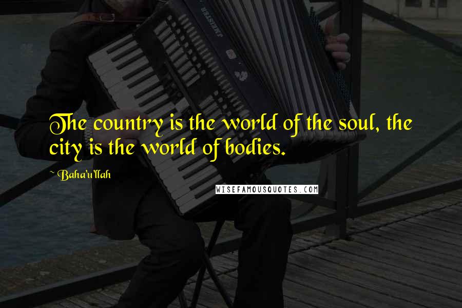 Baha'u'llah quotes: The country is the world of the soul, the city is the world of bodies.