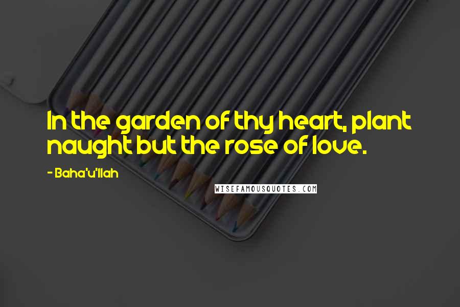 Baha'u'llah quotes: In the garden of thy heart, plant naught but the rose of love.