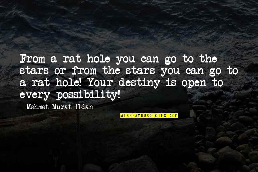 Bahmanpour Quotes By Mehmet Murat Ildan: From a rat hole you can go to