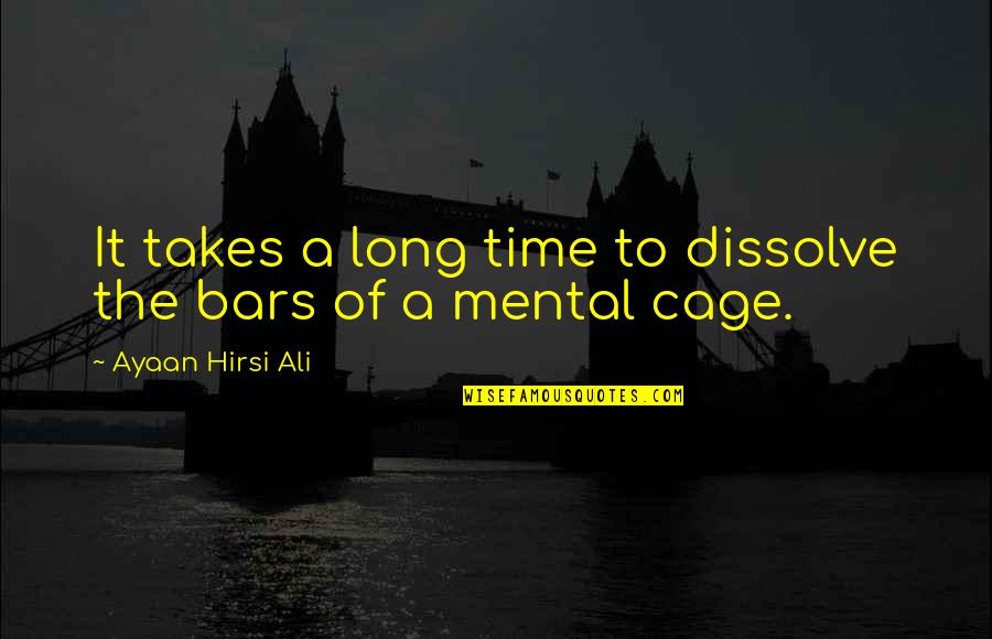 Bahno Z Quotes By Ayaan Hirsi Ali: It takes a long time to dissolve the
