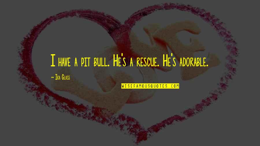 Bahrain Racing Team Quotes By Ira Glass: I have a pit bull. He's a rescue.