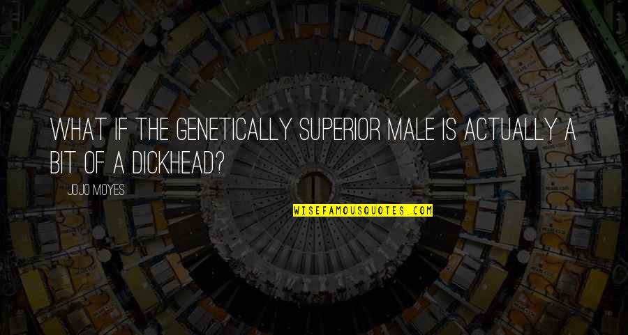 Bahran Darwisy Quotes By Jojo Moyes: What if the genetically superior male is actually