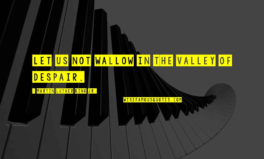 Bahruddin Bekri Quotes By Martin Luther King Jr.: Let us not wallow in the valley of Bahruddin Bekri Quotes By Martin Luther King Jr.: Let us not wallow in the valley of