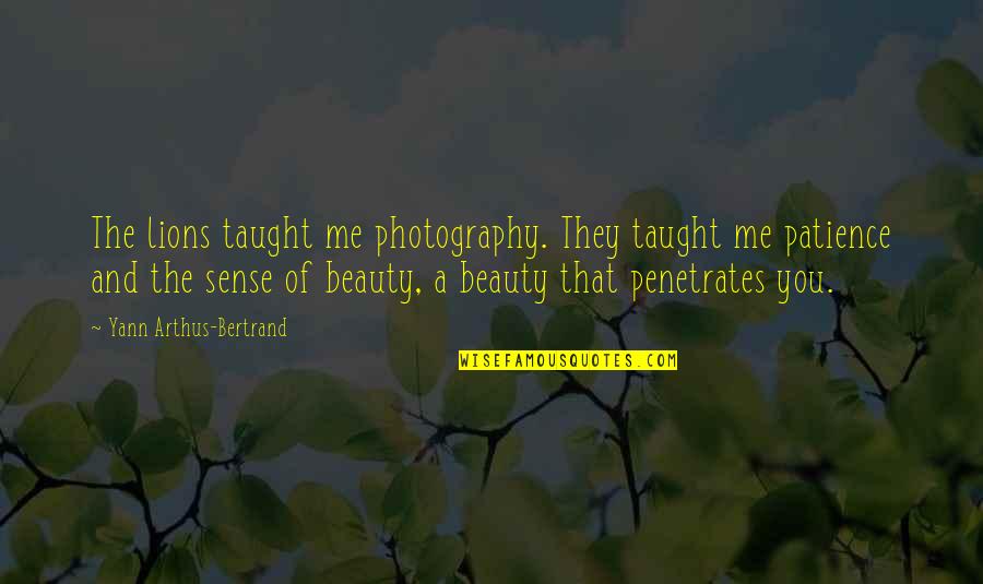 Baignoires Anciennes Quotes By Yann Arthus-Bertrand: The lions taught me photography. They taught me