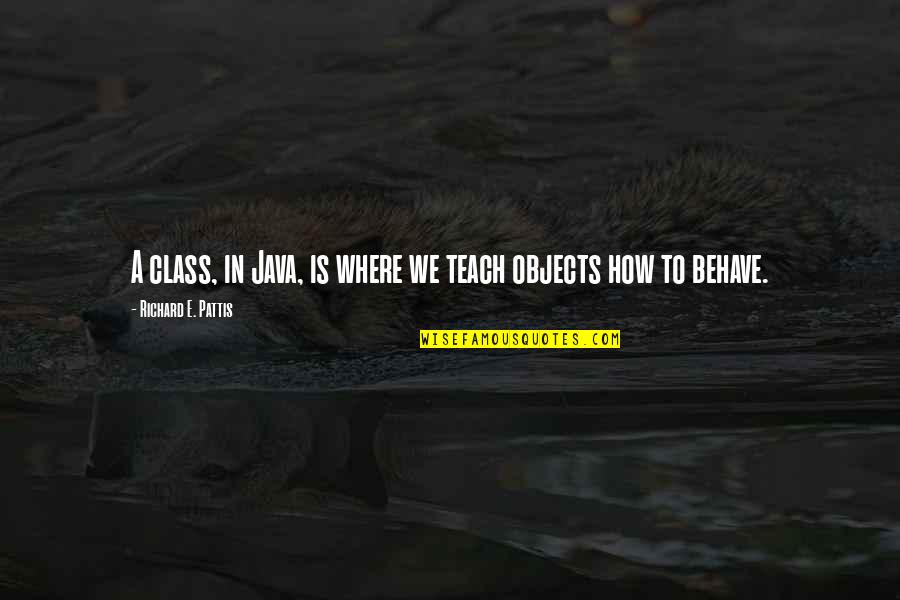 Baikida Carroll Quotes By Richard E. Pattis: A class, in Java, is where we teach Baikida Carroll Quotes By Richard E. Pattis: A class, in Java, is where we teach