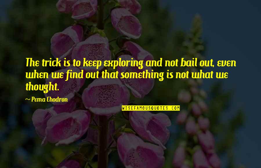 Bail Out Quotes By Pema Chodron: The trick is to keep exploring and not