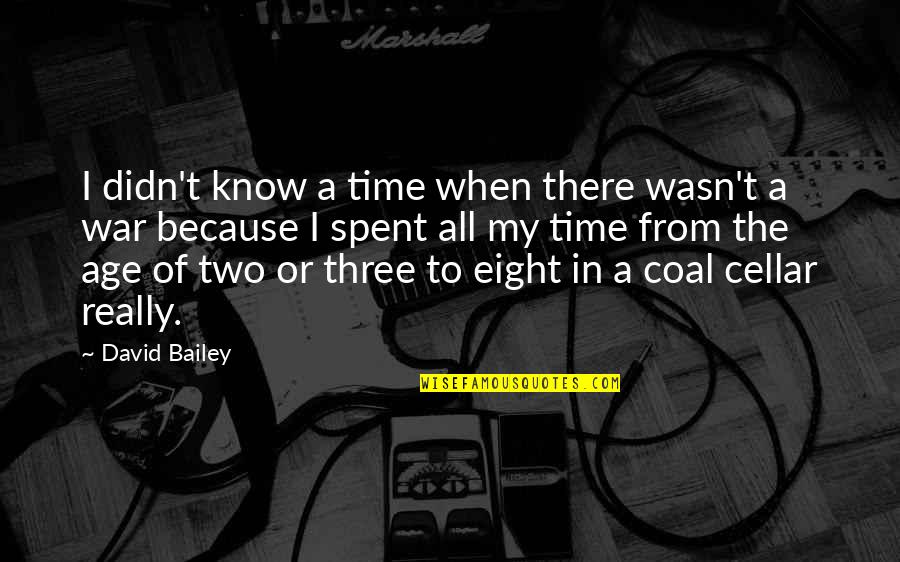 Bailey Quotes By David Bailey: I didn't know a time when there wasn't