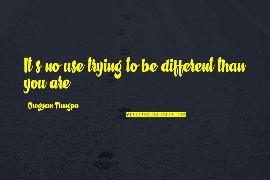 Baileys Quotes By Chogyam Trungpa: It's no use trying to be different than