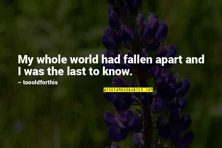 Bailiff Quotes By Toooldforthis: My whole world had fallen apart and I