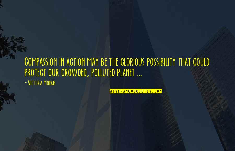 Bailiwicks Quotes By Victoria Moran: Compassion in action may be the glorious possibility Bailiwicks Quotes By Victoria Moran: Compassion in action may be the glorious possibility