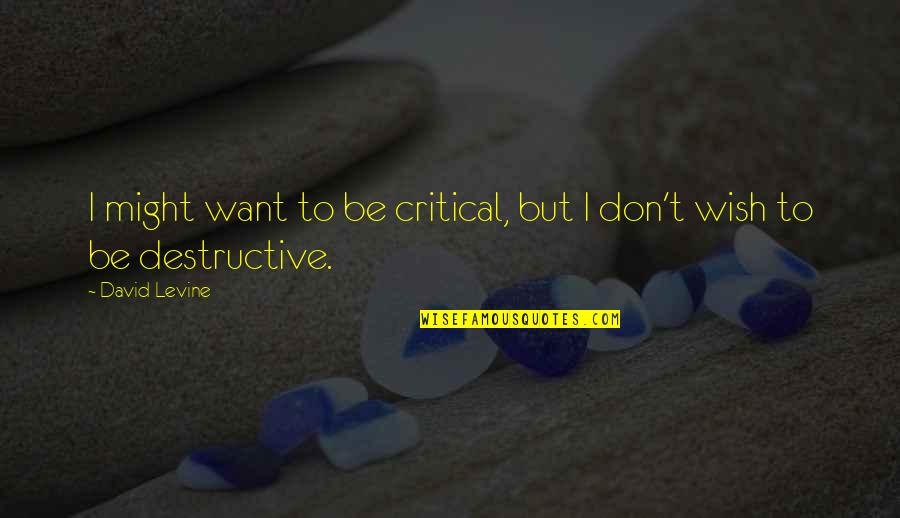 Bailoni Quotes By David Levine: I might want to be critical, but I