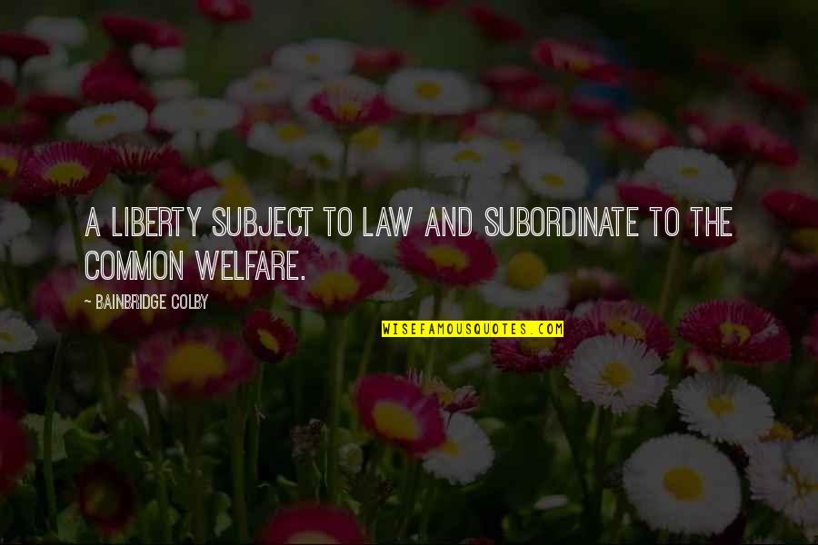 Bainbridge Quotes By Bainbridge Colby: A liberty subject to law and subordinate to