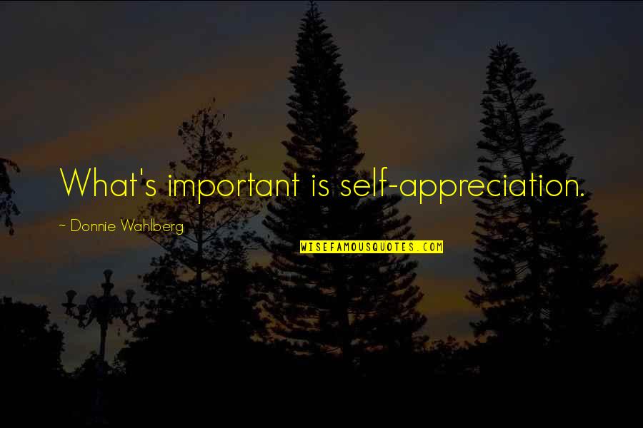 Bairns Baa Ble Quotes By Donnie Wahlberg: What's important is self-appreciation. Bairns Baa Ble Quotes By Donnie Wahlberg: What's important is self-appreciation.