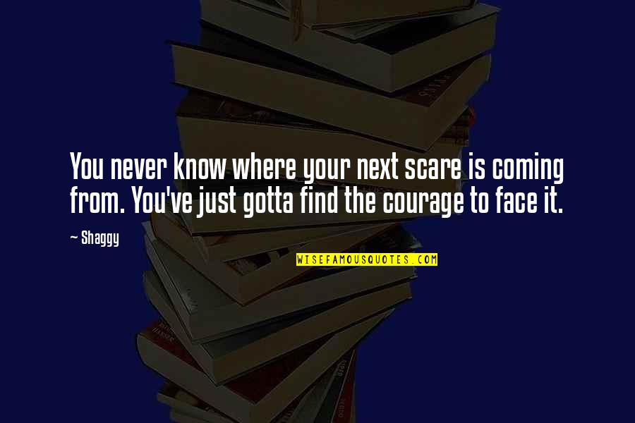 Baisakhi Quotes Quotes By Shaggy: You never know where your next scare is