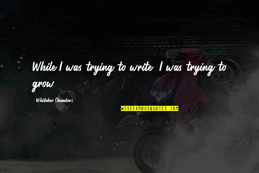 Baisakhi Quotes Quotes By Whitaker Chambers: While I was trying to write, I was