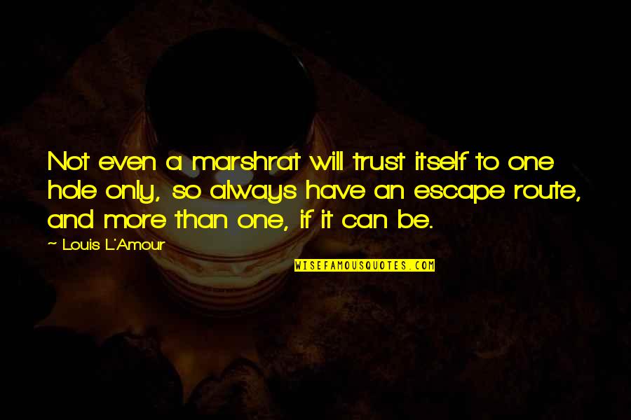 Baisiausi Vorai Quotes By Louis L'Amour: Not even a marshrat will trust itself to