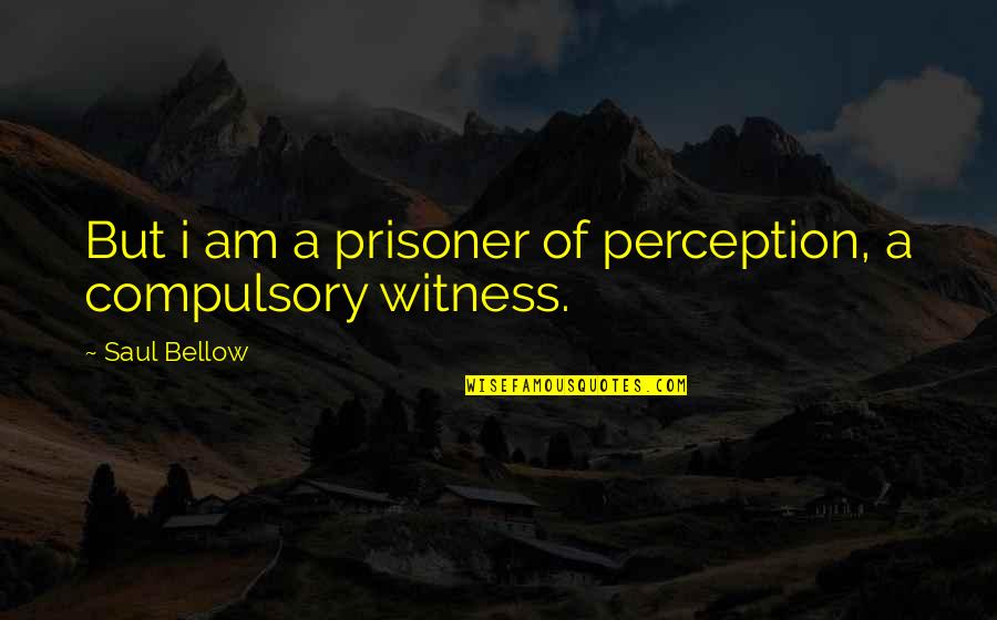 Baitings Quotes By Saul Bellow: But i am a prisoner of perception, a